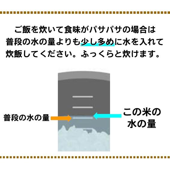 新米 令和5年産 米 お米 5kg こしいぶき 白米 新潟 送料無料 糸魚川 能生米 農家直送  精米 お取り寄せ ギフト