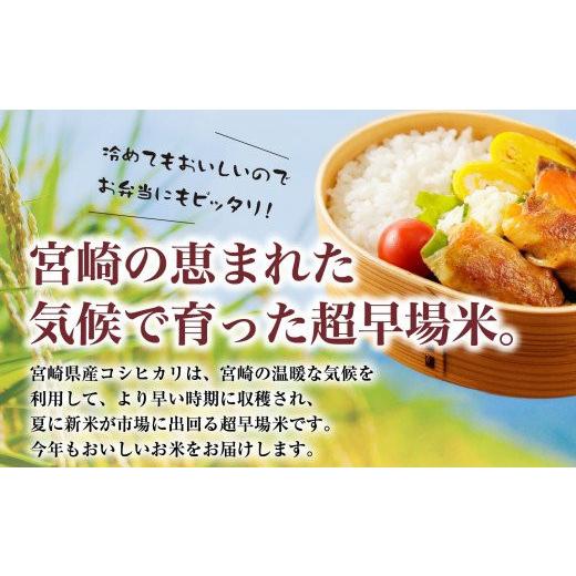 ふるさと納税 宮崎県 宮崎市 《毎月発送》定期便 宮崎産コシヒカリ10kg(5kg×2袋) ×3回 計30kg お届け月が選べます_M181-T008