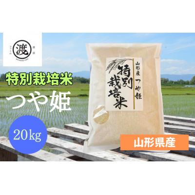 ふるさと納税 高畠町 特別栽培米　つや姫  20kg(5kg×4)