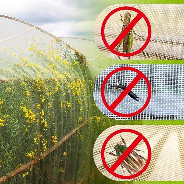 植物野菜昆虫保護ネットガーデンフルーツケアカバー花温室保護ネット害虫駆除抗鳥60 meshs