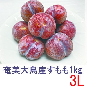 奄美大島産 すもも プラム 約1kg 3Lサイズ 16玉 花螺李（がらり