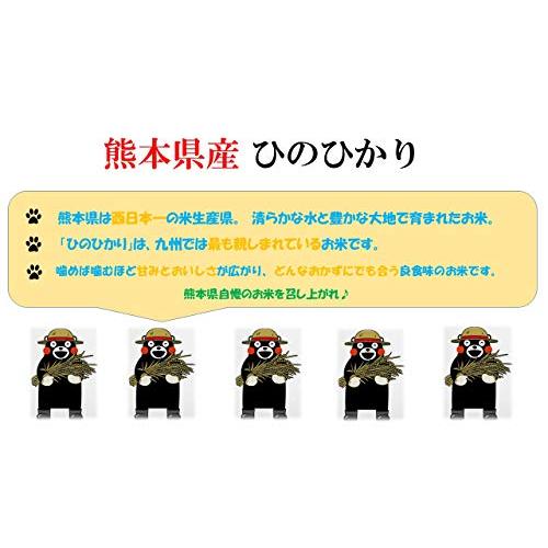 新米 米 お米 ５ｋｇ くまモン ひのひかり 白米 熊本県産 令和５年産