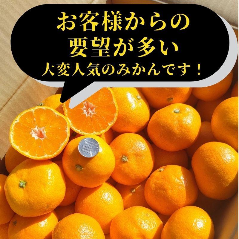 山北みかんMSサイズ限定　10kg　みかん蜜柑　中級品　高知産