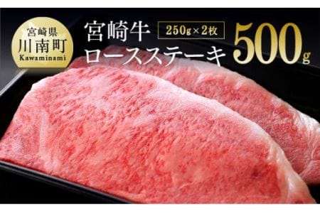 ※令和6年2月より順次発送※宮崎牛 ロースステーキ 500g (250g×2枚)