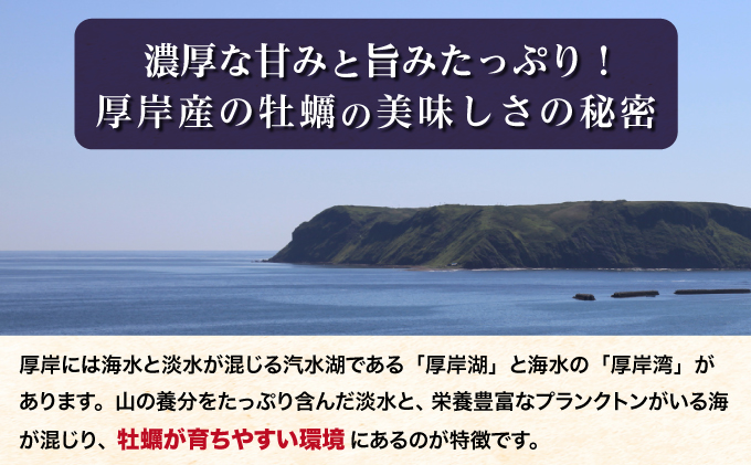 2月発送 北海道 厚岸産 殻かき三種 食べ比べ セット