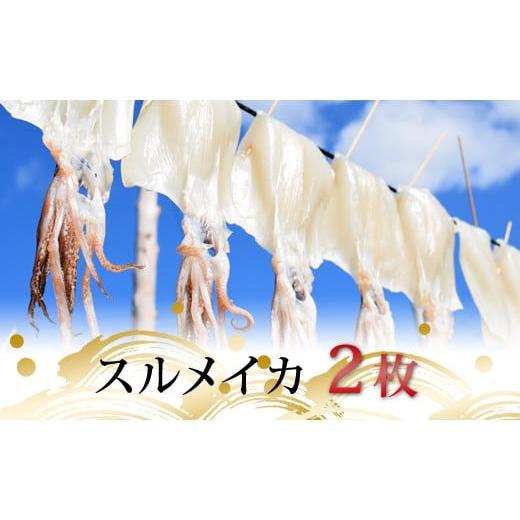 ふるさと納税 高知県 大月町 スルメイカの一日干し 2枚