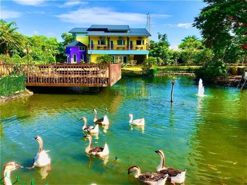 Ⓣ稀有!!花蓮溫泉會館3000坪土地與農舍一同出售｜花蓮縣瑞穗鄉五福路