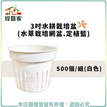 【綠藝家】3吋水耕栽培盆(水草栽培盆.定植籃.水草盆.水耕盆)500個/組(白色)