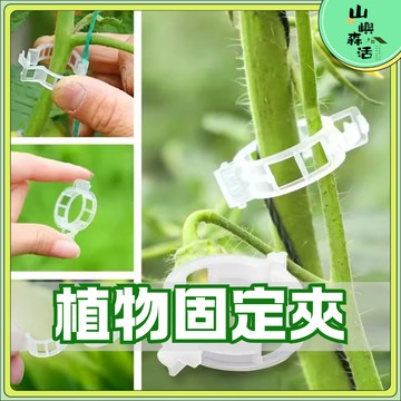【全店現貨🌳隔日到貨】植物固定夾 藤蔓固定夾 植物固定器 快速卡扣 藤蔓夾 園藝夾 花夾 園藝造景 園藝資材