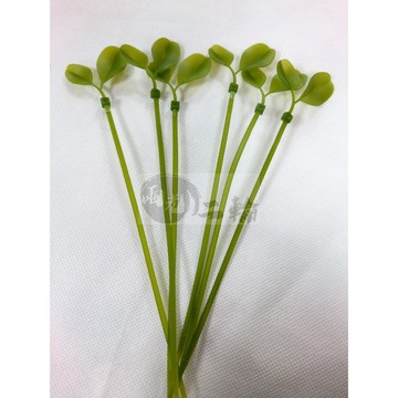 1千隻被掃購售完 開始4塊囉 福利 小草 小葉束帶 小草束帶 綠葉束帶 葉子束帶 束帶  療癒商品-綠能小草束帶
