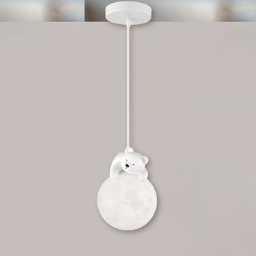 E27球樹脂吊燈 B102-13-61295