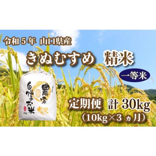 ふるさと納税 山口県 下関市 令和5年 山口県産 きぬむすめ 精米 10kg×3回