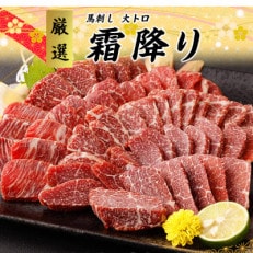 熊本直送　馬刺し　ブロック肉　大トロ500g(南阿蘇村)