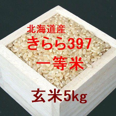 新米 北海道産 きらら397 一等米 玄米5kg （令和5年産）