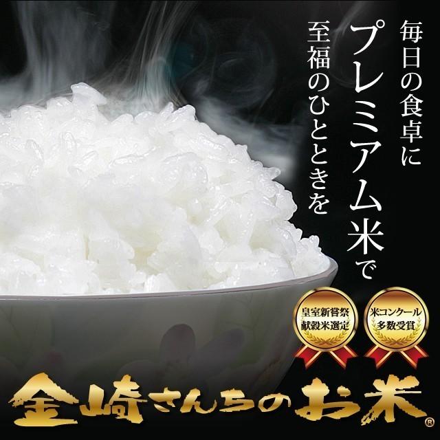 お米 20kg 特別栽培米コシヒカリ 令和5年産 新米 5kg×4袋