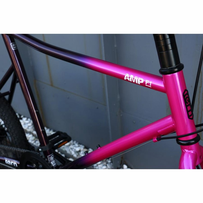 EIZER ミニベロ 軽量 20インチ 自転車 小径車 8段変速