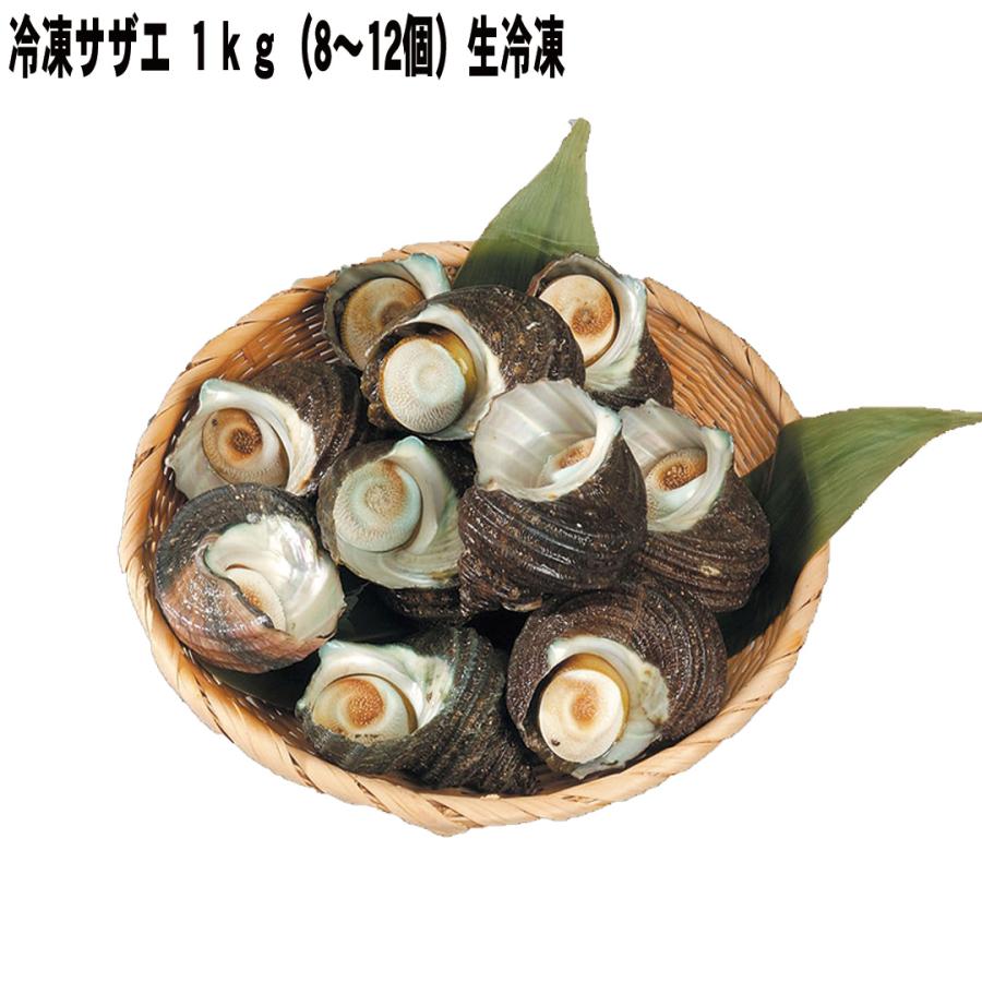 冷凍サザエ サザエ１ｋｇ（8〜12個） 生冷凍 