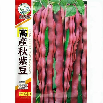 台灣當季 【原裝春秋紫架豆種子 】家庭菜園 陽台盆栽 易栽種 現貨速發 自留種 非基改 耐熱蟲少 豐收長豆