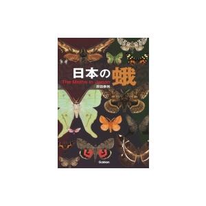 日本の蛾 岸田泰則