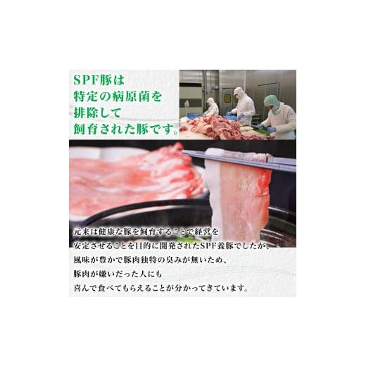 ふるさと納税 千葉県 東庄町 東庄町産SPF豚肉／焼肉＆しゃぶしゃぶセット （ロース1kg バラ1kg）計2kg