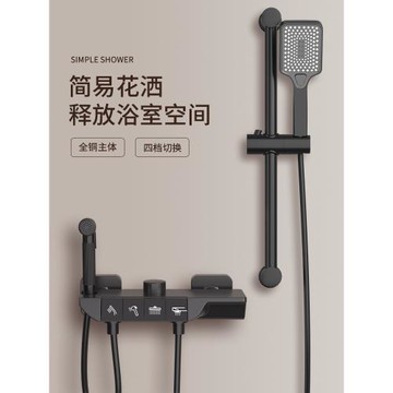 德國DSLK淋浴水龍頭冷熱混水閥沐浴室分體式浴缸簡易淋浴花灑套裝
