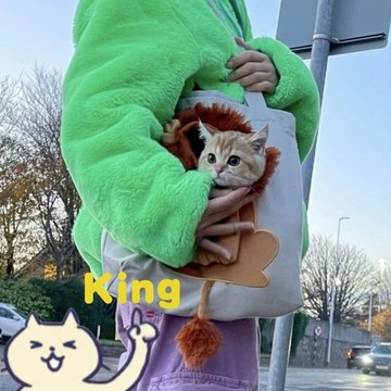 【臺灣出貨】網紅可露頭小獅子寵物包 帆布貓咪外出手提袋 小型犬貓透氣攜帶包 輕便外出籃 寵物逛街出行袋 戶外遛寵用品
