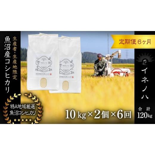 ふるさと納税 新潟県 十日町市 ＜定期便・全6回＞魚沼産コシヒカリ「イネノハ 」精米(10kg×2)×6回