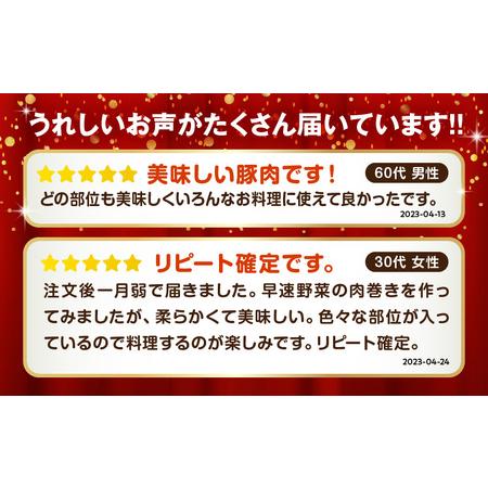 ふるさと納税 宮崎県産 豚肉 お楽しみセット 計4.1kg【豚肉 宮崎県産 豚肉 県産 豚肉 ロース 豚肉 豚バラ 豚肉 もも 豚肉 スライス 豚肉 とんか.. 宮崎県宮崎市