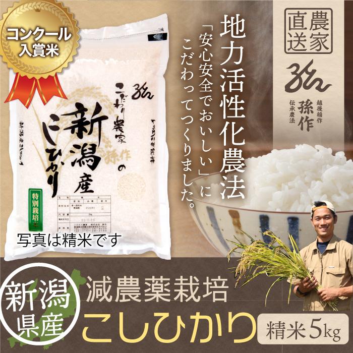 新潟県産 コシヒカリ 特別栽培米 5kg 令和5年産 新米 こしひかり 5キロ 農家直送 減農薬 お米 精米