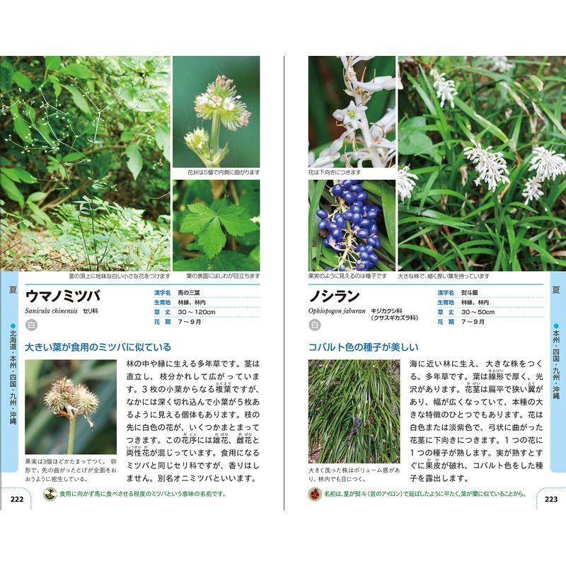 自然散策が楽しくなる 草花・雑草図鑑