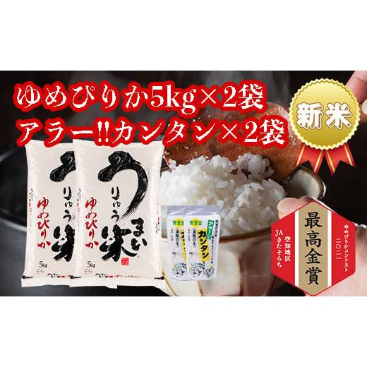 ふるさと納税 北海道 雨竜町 うりゅう米ゆめぴりか　5kg×2袋・アラー!!カンタン　2個