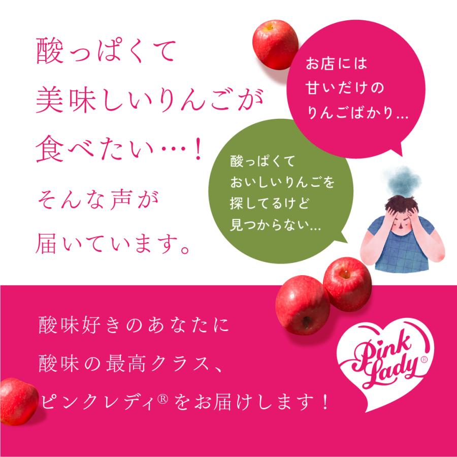 ピンクレディ 5kg 箱 訳あり 幻の林檎 減農薬 希少 りんご 長野 安曇野 信州 産地直送 酸っぱい 「ピンクレディ5キロ箱訳あり品」