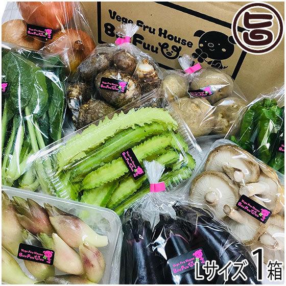 旬の採れたて新鮮野菜詰め合わせ Lサイズ Buu Fuu Uuu 乳酸菌生産物質を使用 お客様の食卓に笑顔を届け (中身は季節により異なります)