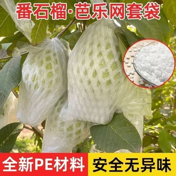 隔日💥【500組請下宅配】番石榴防蟲套袋芭樂專用一體泡沫網眼套袋整套廠家批發保護網套袋