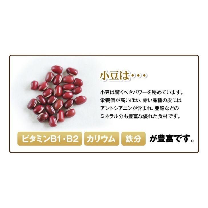 大納言小豆  500g 北海道産 メール便送料無料 2022年産 新物