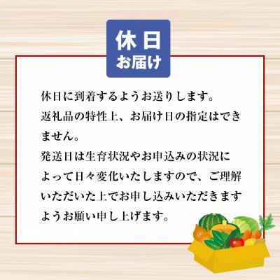 ふるさと納税 淡路市 淡路島の新鮮野菜セット