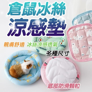 倉鼠涼感墊 倉鼠冰絲墊 降溫 散熱 寵物涼感墊 冰絲墊 迷你涼墊 散熱墊 倉鼠冰涼墊 倉鼠睡墊 倉鼠睡窩 夏日涼墊