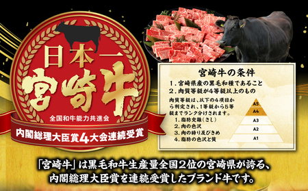 宮崎牛 焼肉 10種 盛り合わせ 牛肉