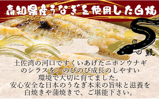 吉川水産 高知県産うなぎの白焼特大サイズ(180～210g)×1尾 タレ付き 自宅用エコ包装 yw-0042