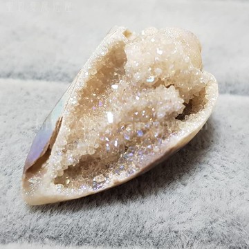 【土桑展精選寶物】水光晶簇貝殼化石0311-8 (珠寶等級)