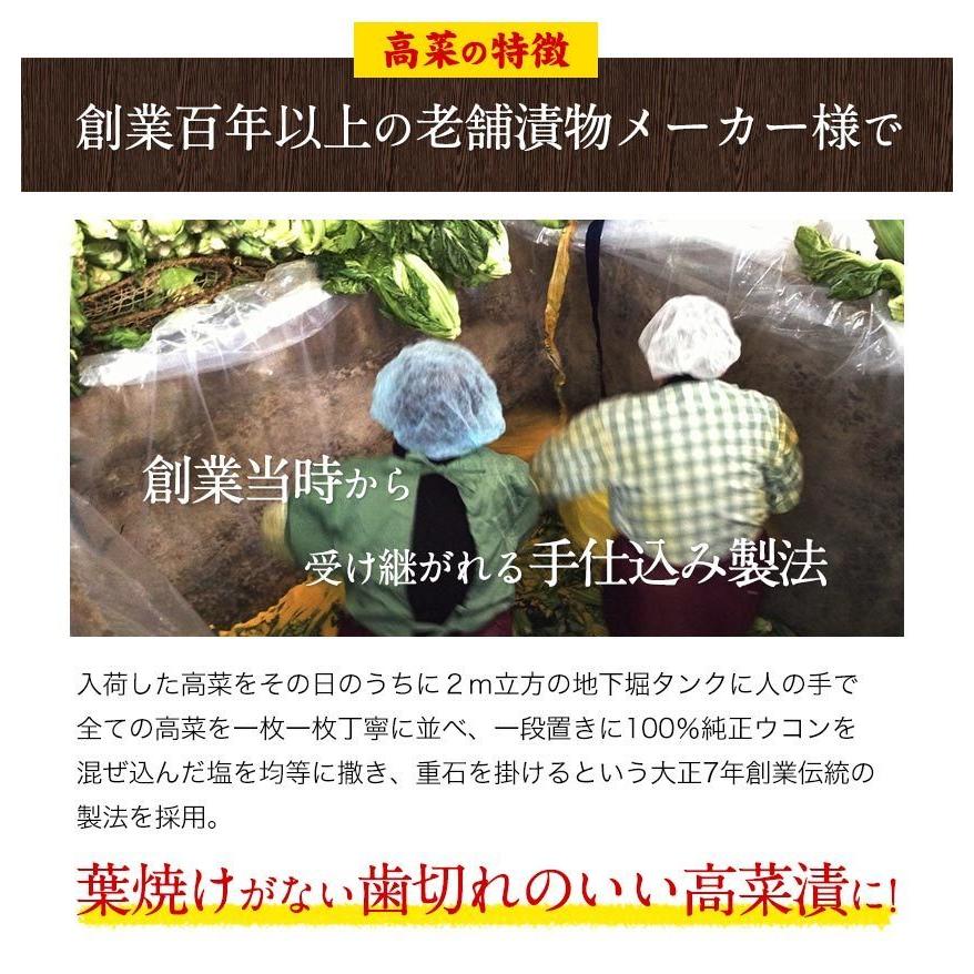 賞味期限2023年12月26日 辛子高菜 600g入(150g×4袋) 1000円 ポッキリ 送料無料 高菜漬け 小分け ご飯 お供 漬け物 1-5営業以内発送予定(土日祝除)