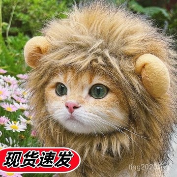 全店免運🎁寵物頭套 貓咪帽子 泰迪博美法鬥小狗 搞笑帽子 狗狗帽子 頭飾用品