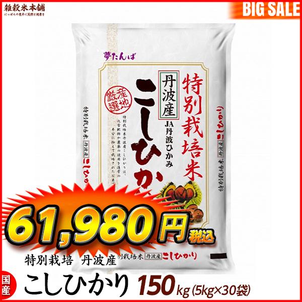 特別栽培米 コシヒカリ 150kg(5kg×30袋) 丹波産 令和5年産 単一原料米 ＼セール／