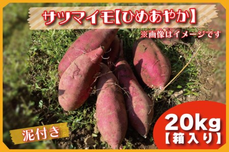 BZ-28 2023年度産20kg箱入りサツマイモ（ひめあやか）