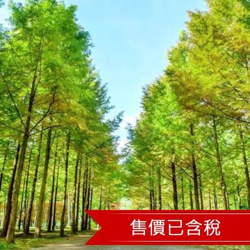 酷航首爾自由行5日｜市區萬楓酒店3晚加機場飯店1晚｜萬豪集團/含稅含行李/贈交通卡/2人成行-TRICNMAR05