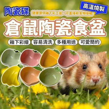 倉鼠陶瓷食盆 倉鼠食盆 陶瓷碗 鼠食盆 鼠用食盆 倉鼠陶瓷碗 倉鼠水盆 小寵食盆 毛大二寵物店