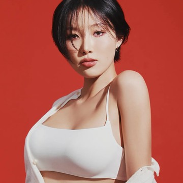 🆕新品上架【梨花娘】韓國華莎代言💕空氣感機能布料無痕冰涼感內衣(7色) 💖寵愛自己