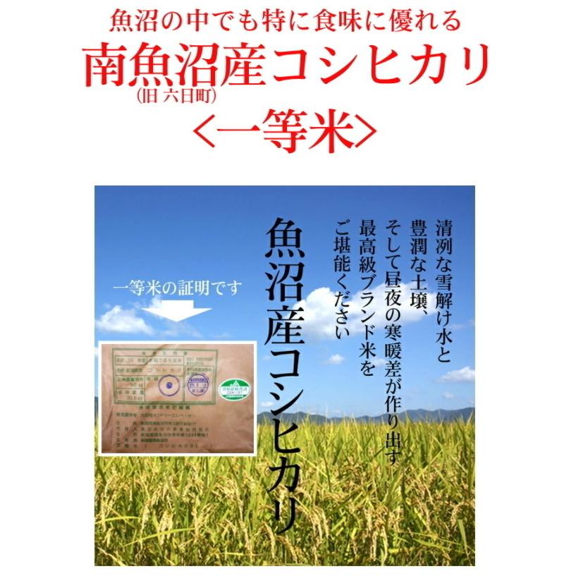 感謝の粗品 最高級銘柄米 魚沼産コシヒカリ 300g 2合 x10袋セット 御礼 景品 プチギフト 記念品 お返し 人気