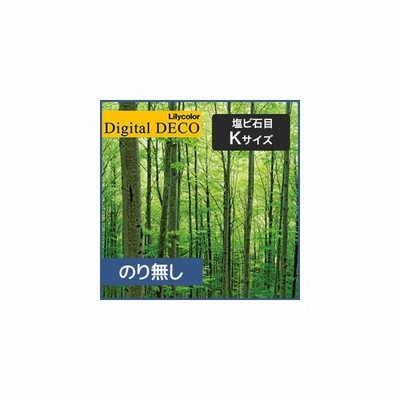 値引 壁紙 クロス のり無し壁紙 リリカラ デジタル デコ 森の惑星 新緑ブナの森 塩ビ石目 Kサイズ D80wk 店長大暴走 クリアランスsale Bravo Bih Com
