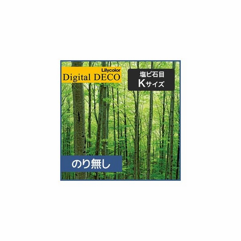 壁紙 クロス のり無し リリカラ デジタル デコ 森の惑星 新緑ブナの森 塩ビ石目 Kサイズ D80wk 通販 Lineポイント最大0 5 Get Lineショッピング